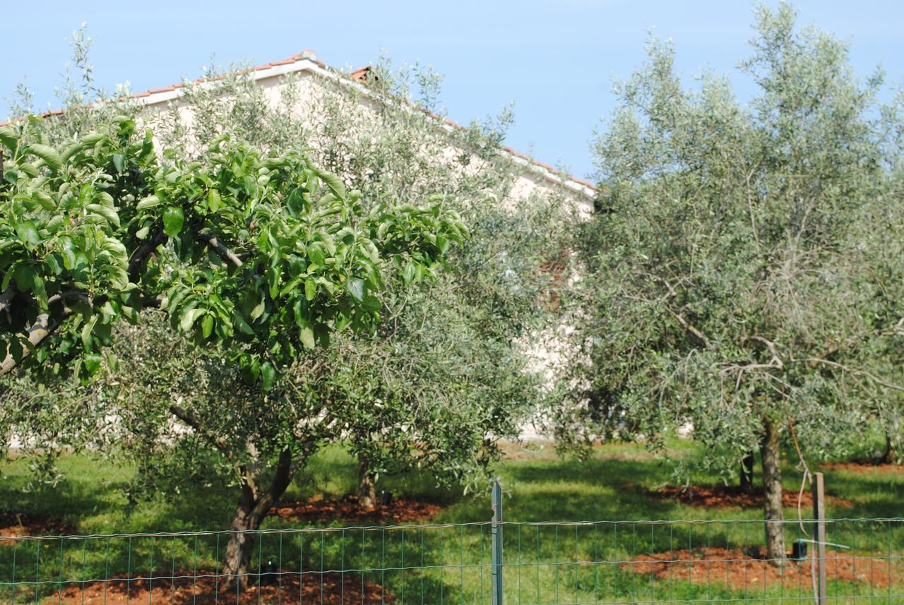 PUY Holiday Home Ana מראה חיצוני תמונה